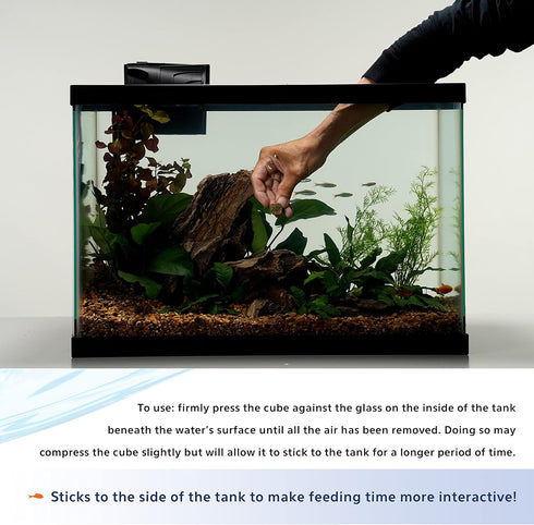 Aqueon Stick'ems Freeze-Dried Pet Fish Treat for Picky Eaters