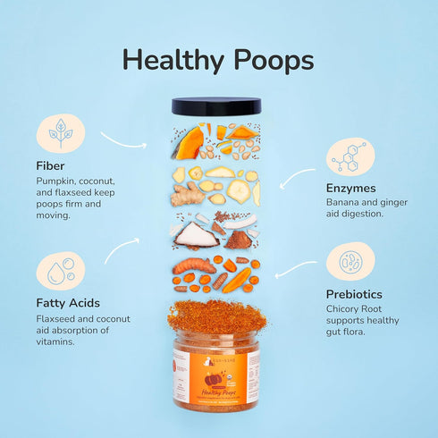 kin+kind Organic Pumpkin Powder for Dogs & Cats, Natural Formula with Flax Seed, Ginger, Turmeric, Coconut - 8oz