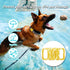 4 Pack Waterproof AirTag Dog Collar Holder, Silicone Hidden Loop for Apple AirTag Tracker, Anti-Lost Accessories