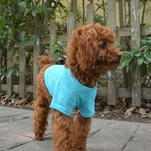 Lovelonglong Pet Clothing Dog Costumes, Basic Blank T-Shirt Tee Shirts for Small Dogs (Turquoise, M)