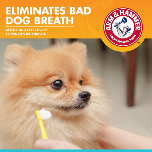 Hammer 2.5 Oz Arm & for Pets Fresh Breath Enzymatic Dog Toothpaste, Vanilla Ginger Flavor, Safe for Puppies and Adult