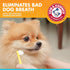 Hammer 2.5 Oz Arm & for Pets Fresh Breath Enzymatic Dog Toothpaste, Vanilla Ginger Flavor, Safe for Puppies and Adult