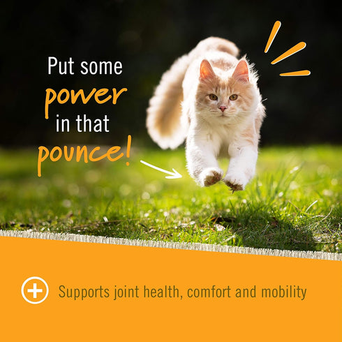 Pet Naturals Hip and Joint Support Supplement for Cats, 30 Chews, Glucosamine, Chondroitin, MSM