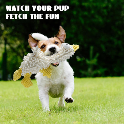 5 Packs Nocciola Squeaky Dog Toy Plushies, Cute Soft Squeak Crinkle Plush Stuffed Durable Pet Animal Chew Puppy Toys