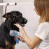 Performore Self Cleaning Pet Grooming Brush, Slicker Brush with Stainless Steel Wire Bristles for Dogs and Cats
