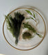 Generic Shrimp Aquarium Live Plant Bundle- Hornwort, Stellatus, Crypt, & Moss.