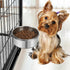 Dog Bowl Stainless Steel, Pet Hanging Food Water Bowl, Cage Feeding Cup Feeder for Dogs, Cats, Rabbits, Birds (Medium)