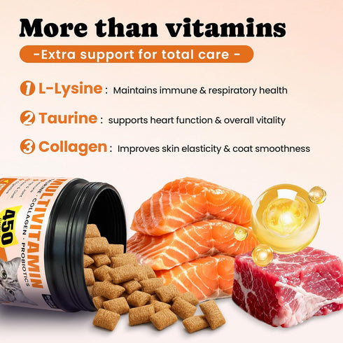 12 5 Immune, 450 Cat Vitamin Treats with L-Lysine & Taurine Essential Vitamins & Minerals, Cat Multivitamin Supplement