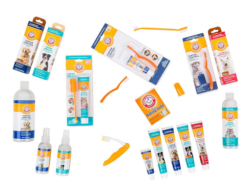 Arm & Hammer for Pets Dental Enzymatic Toothpaste, 2.5 Ounce, Chicken Flavor, Safe for All Dogs