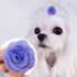24pcs/12pairs Dog Hair Flowers with Rubber Band for Puppy Small Medium Animals, Mixed Color Grooming Accessories