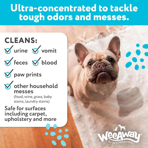 X2 Ultra Concentrated Pet Stain and Odor Remover Spray, Enzyme Cleaner for Dog Urine, 16 oz (Ocean Breeze)