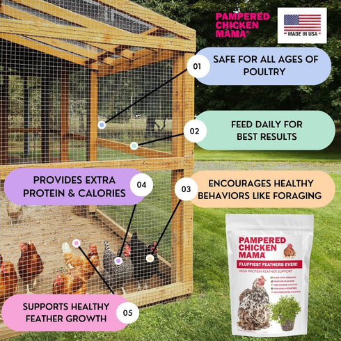 (2 Pampered Chicken Mama Molting Supplement for Chickens: Fluffiest Feathers Ever Backyard Chicken Feed and Supplies