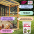 (2 Pampered Chicken Mama Molting Supplement for Chickens: Fluffiest Feathers Ever Backyard Chicken Feed and Supplies