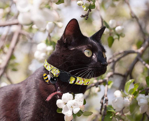 BoomBone Cat Collar Breakaway with Bell, Cute Animal Pendants, 3 Pack Bee Flamingo Beetle Spring Kitten Collar