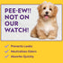 26"x24", 60 Count OUT! PetCare XL Training Pads, Leak-Proof Disposable Pee Pads for Dogs, Potty Training with Odor