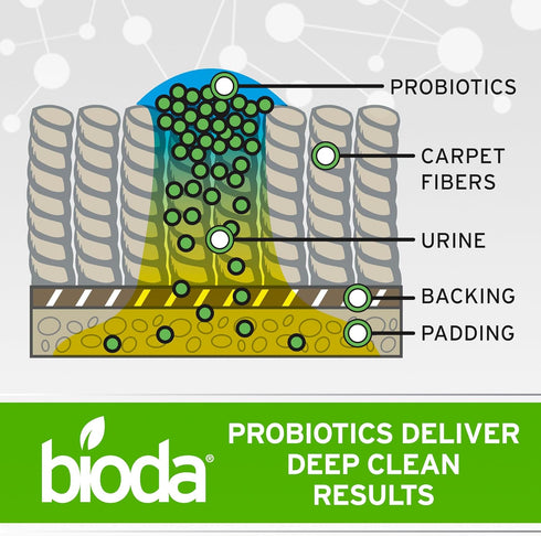 1 Bioda Pet Stain and Odor Eliminator | Pet Urine Enzyme Cleaner | Stain Remover | Urine Odor Eliminator | Carpet