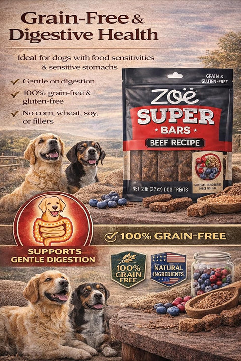 Hoiyen Packed 32 oz 2 (Pack 1) Zoe Super Bars Beef Recipe Dog Treats - Protein Snacks with Berries and Flax Grain