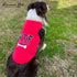 Parisian Pet Dog Tshirt, Embroidered “WTF (Where’s The Food)” Lightweight Cotton Tank Top for Large Dogs - 2XL