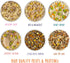 Weruva Classic Dog Food Variety Pack, Let's Give Em' Pumpkin to Talk About, 5.5 oz Can (Pack of 12)