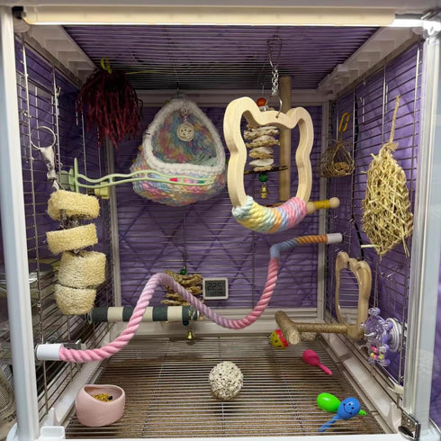 Gradient Large Wooden Bird Swing with Colorful Cotton Rope for Bird Cages Natural Hanging Toy for Medium-Large Birds