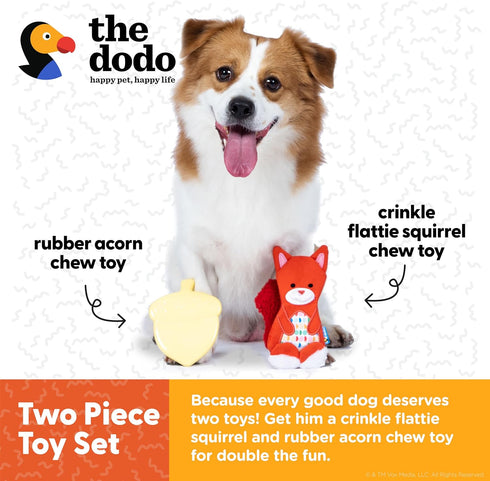 The Dodo Woodland Animals Stuffingless Dog Toy Set: Squirrel & Acorn, Durable No Plush Squeaky Toys for Dogs