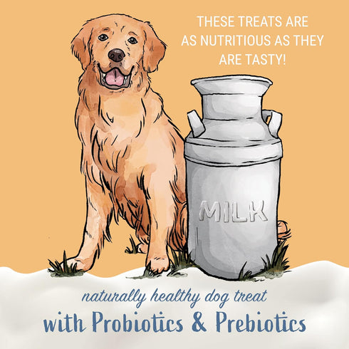 Yogurt Sticks, Prebiotic & Probiotics, Protein Rich, Lactose Free, Gluten Free, 5 pieces, Peanut Butter Flavor