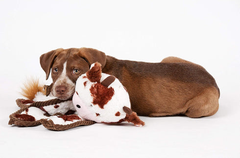 26 Inch Cuddle Tugs Bunny Plush Dog Toy - Squeaky Fun