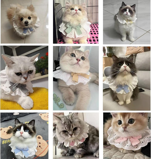 ANNUOZE 6PCS Pet Lace Bib, Sweet Cat Bandana with Bow, Cotton Dog Saliva Towel, Cute Round Neck Scarf for Kitty Puppy
