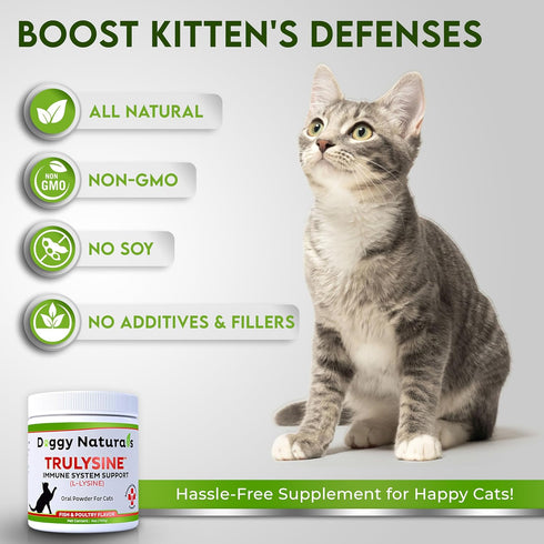 "Trulysine L-Lysine for Cats Immune Support Oral Powder 4oz/100g - Fish & Poultry Flavor for All Ages"