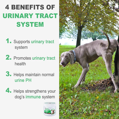 100 Count MARIMER Urinary Tract Support for Dogs Cranberry, D-Mannose, Marshmallow Root & Vitamin C Soft Chews