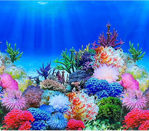 Double Sided Fish Backgrounds Paper for Aquarium, Colorful Sea Anemone Fish Tank Background Sticker