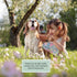8 oz Begley's Pet Cologne and Deodorizer - Premium Essential Oil Dog Perfume Spray Long Lasting and Pet Odor Eliminator