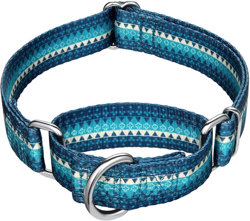 Martingale Dog Collar, Fashion Print Pattern, No Pull Safety Training Collar, Medium, Turquoise
