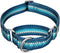 Martingale Dog Collar, Fashion Print Pattern, No Pull Safety Training Collar, Medium, Turquoise