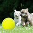 Dog Toy Ball - 9.5" Large Tennis Balls for Dogs, 2 Pack Inflatable Rubber Balls with Pump & Needle