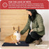My Doggy Place Microfiber Dog Mat 18" x 24" Charcoal, Absorbent Quick-Drying Dog Paw Cleaning Mat, Non-Slip Rubber