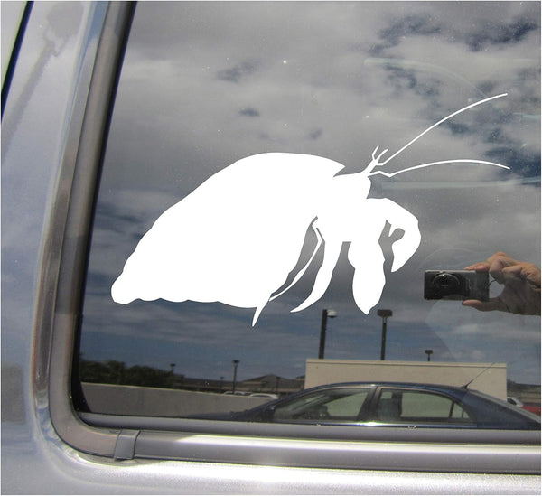 Right Now Decals Hermit Crab - Decapod Crustaceans Paguroidea - Cars Trucks Moped Helmet Hard