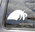 Right Now Decals Hermit Crab - Decapod Crustaceans Paguroidea - Cars Trucks Moped Helmet Hard