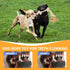 Bmag Heavy Duty Dog Rope Toys for Aggressive Chewers, Indestructible Natural Cotton Rope with 5 Knots