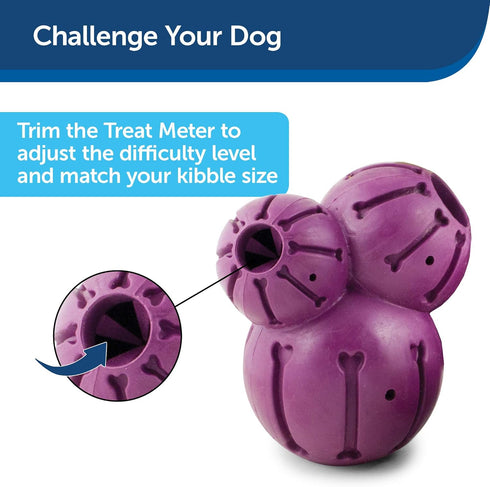 PetSafe Busy Buddy Barnacle - Treat Dispensing Dog Chew Toy