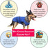 Dog Cooling Vest, Lightweight Jacket with Evaporative Cool Microfiber Technology for Dogs