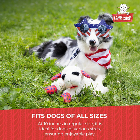 (10", 5 Multipet Lamb Chop Dog Plush Toy - Squeaky Toy for Small & Medium Dogs - Extra Soft Plush - Stuffed Animal