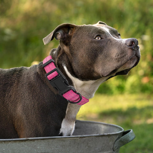 Mile High Life Reflective Dog Collar, Light Weight Nylon Puppy Collars, Solid Pink for Small Dogs (X-Small)