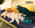 Foxelli Self Inflating Sleeping Pad for Camping, Lightweight Insulated Foam Camping Mat with Pillow for Backpacking and