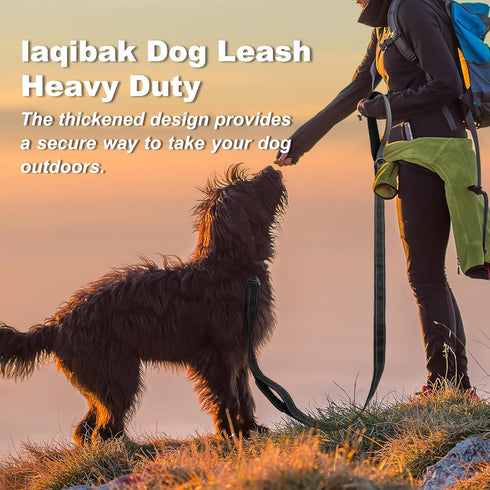 Laqibak Heavy Duty Dog Leash, Double-Sided Reflective, 6 FT with Double Handle, Lockable Safety Carabiner for Medium &