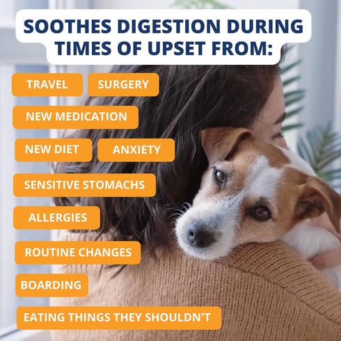 Under the Weather Bland Diet for Dogs - 6oz Pack, Easy to Digest Rice, Chicken & Pumpkin, All Natural
