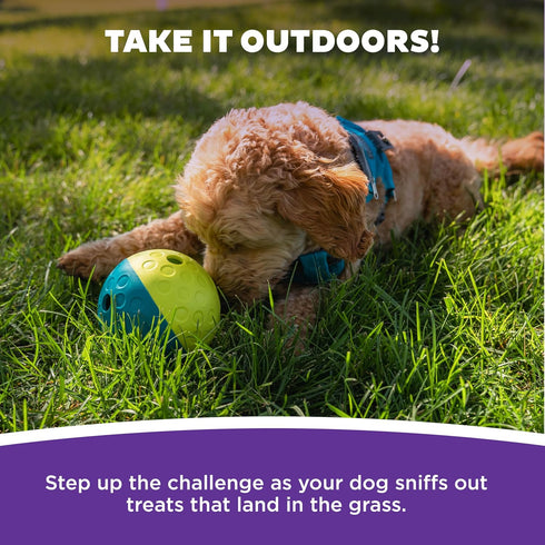 1 4.8" Outward Hound by Nina Ottosson Treat Tumble Interactive Food-Dispensing Dog Puzzle Ball, Level Beginner, Small