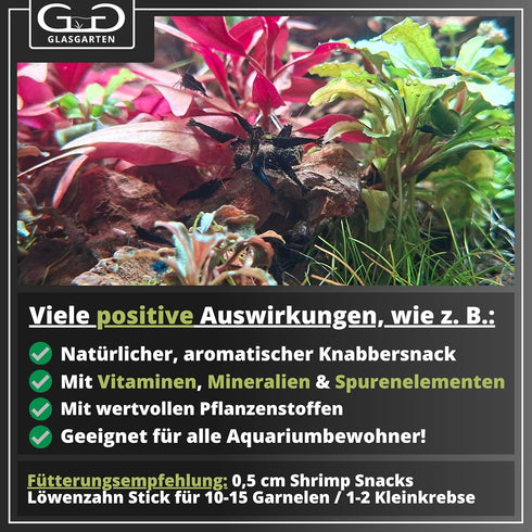 30g GlasGarten Shrimp Snacks Dandelion