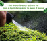 Generic Pack 2 Live Moss Duo Varieties Mixed Moss for Reptile Terrariums, Amphibian Habitats, Bonsai, Vivariums