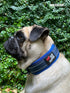 Tuff Pupper Ultra Comfort Padded Dog Collar, Thick Neoprene Padding with Reflective Stitching and Durable Metal Buckle